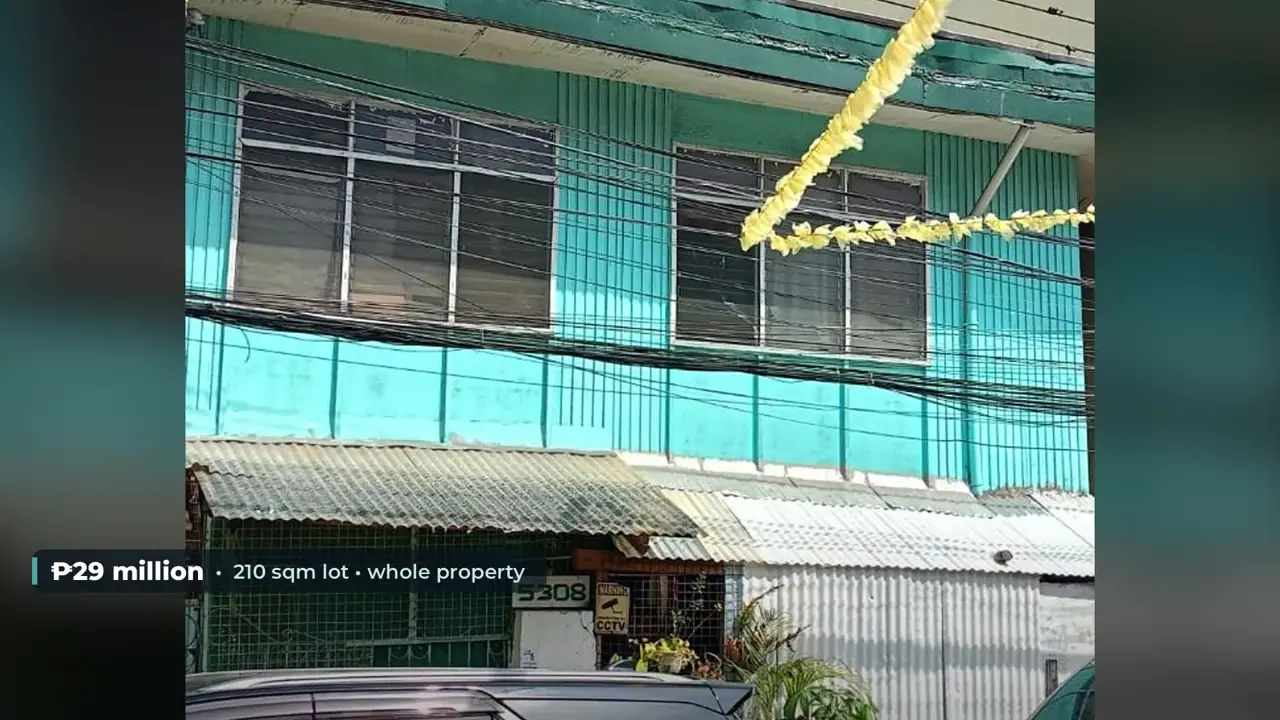 210 sqm Lot in Palanan, Makati