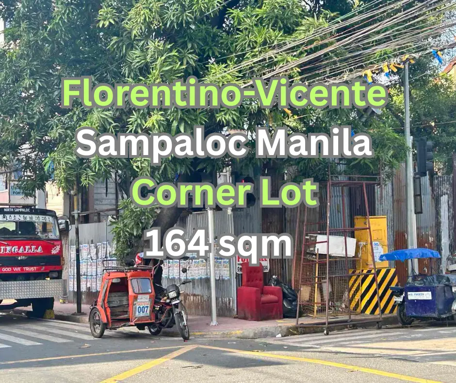 164 sqm Corner Lot in Sampaloc photo 2